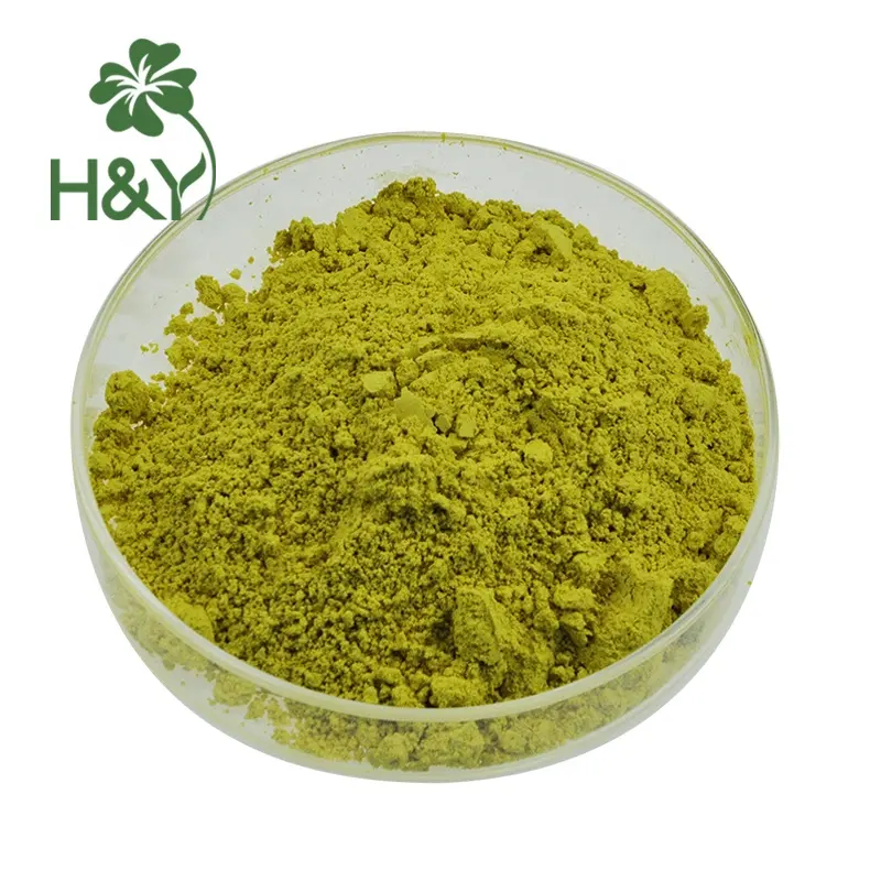 Natürlicher Sophora Japonica Extrakt 98% Quercetin Pulver Quercetin