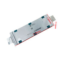 LG LiFePO4 66Ah Polymer Battery for EVs Drones