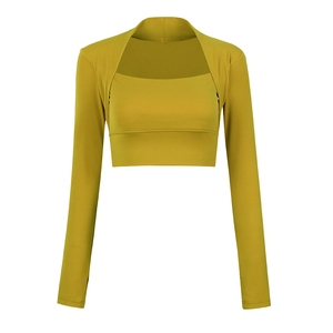 Ropa de Yoga con Relleno en el Pecho, Top Corto de Secado Rápido para Correr, Top de Entrenamiento Ajustado, Sexy y Moldeador, Manga Larga Deportiva - Product Image 6