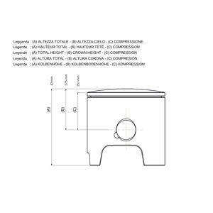 Piston 2T Ø 50 taille 0 avec axe Ø 12 et 2 bagues rectangulaires taille 0 - Product Image 2