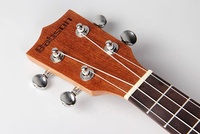 Wholesale Professional Musical Instruments 4 Strings 23 24 Inch Concert Sapele Mahogany Matte Finish Acoustic Ukulele with Strap