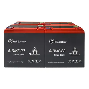 China Feili Suppliers 48V60V 22ah AGM E-Bike Battery 12v 20ah Electric Bicycle Lead Acid Scooter Battery for Electric Scooter
