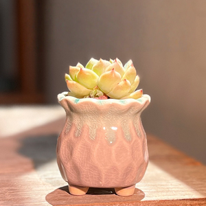 Terracotta <b>Ceramic</b> <b>Pot</b> Succulent Planter Drainage Hole Glazed Finish Eco-Friendly Durable Breathable Water Home Garden - Product Image 3