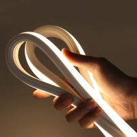 Lampu Strip LED Neon Fleksibel RGBIC RGB Pintar Tahan Air IP67 12V Hitam Fredligting Custom Factory Addressable Silicone