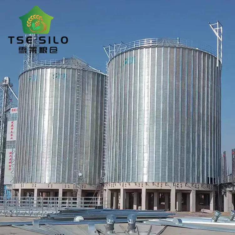 Large capacity wheat rice paddy flat bottom silo for long time storage