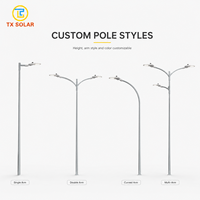 Poste de Luz Solar para Exteriores, Octagonal, de Acero Galvanizado en Caliente, de 4m-12m, con Brazo Simple o Doble, para Carreteras y Autopistas