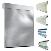 Fenêtre à volets roulants verticaux modernes automatiques en alliage d'aluminium pour extérieur