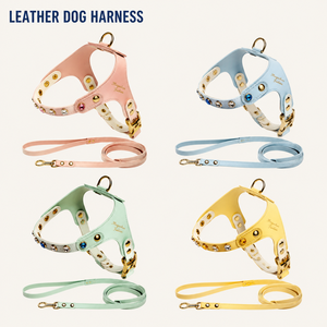 2026 New Leather Dog Harness Adjustable PU Leather Dog Harness and Leash Set for Small Dogs <b>Cats</b> Soft Walking Harness - Product Image 1
