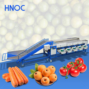 Máquina Clasificadora de Frutas HNOC para Mandarinas, Arándanos, Cebollas y Patatas, Clasificadora de Tamaño por Rodillo - Product Image 1