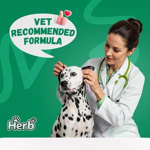 Probiotiques pour chiens OEM/ODM avec prébiotiques - Favorise un microbiome intestinal équilibré - Renforce la santé immunitaire - Friandises à mâcher souples - Product Image 6