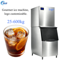 Machine à glaçons gourmet BLG 300 kg