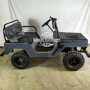 Vehículo Todoterreno Híbrido RC de 4 Ruedas para Dunas, Certificado CE, Garantía de 2 Años, 150-250HP, Venta al Por Mayor - Product Image 6