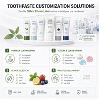 Dentifrice personnalisé à la menthe verte naturelle, enrichi en xylitol, pour une protection quotidienne douce contre la plaque dentaire – Soin buccal OEM