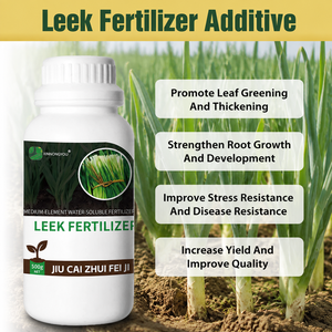 Le poireau réagit bien à la fertilisation, avec une croissance rapide, des feuilles larges et épaisses, et une croissance uniforme. - Product Image 2