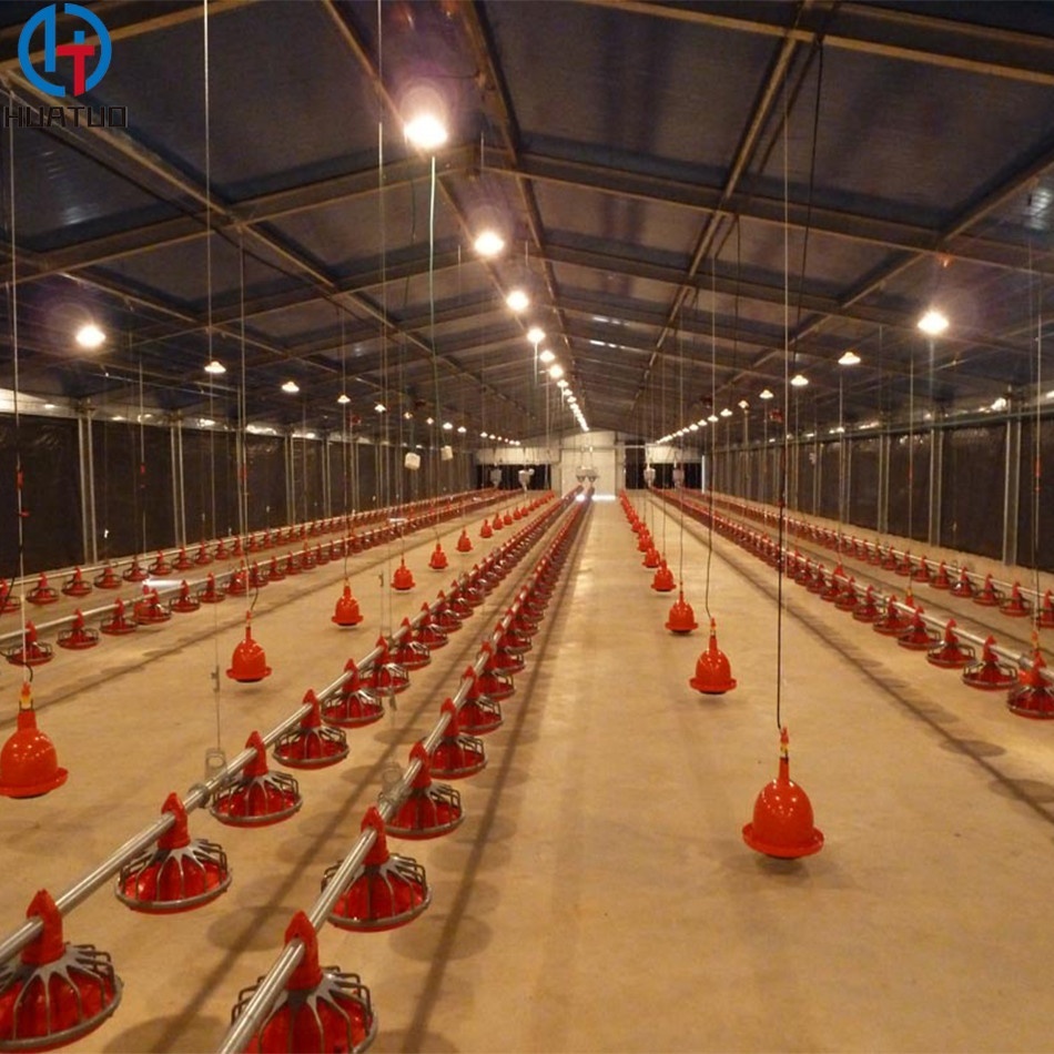 Nouveau design moderne Structure en acier Poulet de chair Conception de maison de ferme de volaille pour 10000 poulets