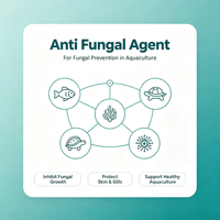 Agent antifongique pour crevettes : inhibe les champignons Fusarium, réduit les lésions de la carapace et des branchies noires, favorise la récupération des crevettes, aliment pour crevettes