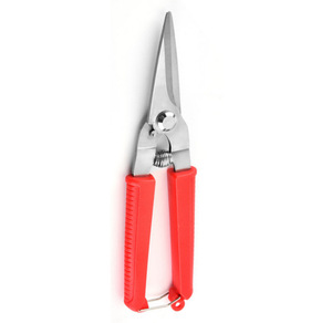 Tijeras de Podar de Acero Inoxidable para Jardín, Corte Recto, para Árboles Frutales, con Mango de Plástico - Product Image 4