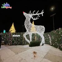 Premium Kerst 3d Led Decor Outdoor Binnentuin Rendieren Tunnel Boog Dieren Bloemen Valentijnsdag Display Motief Lichten