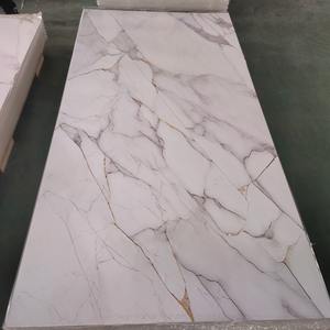 <span class=keywords><strong>Panneau</strong></span> de mur de PVC de fond de <span class=keywords><strong>TV</strong></span> <span class=keywords><strong>pour</strong></span> le béton de revêtement de mur faisant la machine - Product Image 3