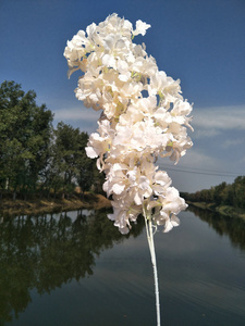 Fiori di ciliegio bianco fiori artificiali di ciliegio fiori di ciliegio colorati fiori di Sakura ciliegio artificiale per San Valentino - Product Image 3