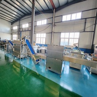 Machine de traitement des oignons en acier inoxydable DY, 500-1000 kg/h, machine à peler et à couper les oignons à haute efficacité, vente directe d'usine