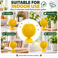 Piège à mouches des fruits jaune collant pour l'intérieur, idéal pour la cuisine, les plantes d'intérieur, les moucherons et le contrôle des petits insectes volants - Vente en gros