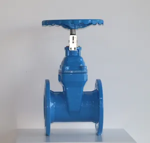 ANSI PN16 80mm 100mm 200mm Manual Cast Iron Flanged Type Gate Sluice Valve Position Indicating Needle Gate Valve