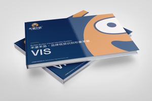 <span class=keywords><strong>Libro</strong></span> de tapa dura con estampado personalizado en lámina, caja de cartón, impresión de catálogo, portafolio de marca, folleto de producto por Starshine - Product Image 4