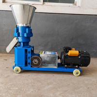 Machines à granulés automatiques Richi Machinery, nouvelles, à 2 rouleaux, en acier allié, capacité 300 kg/h, alimentation moteur diesel/électrique