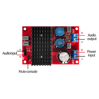 TPA3116 Dijital Güç Amplifikatörü Kartı 100W Mono BTL Çıkışlı Ses Amplifikatörü Modülü DC12-24v 3 Ay Garanti