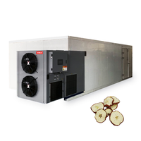 Originele Voedseldehydrator Banaan Droogmachine voor Fruit Dehydratatie 304 Roestvrijstalen Lade Droger 220/380V