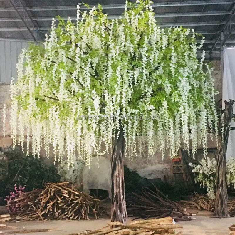 How to Choose the Best Real Ficus Tree for Your Home or Office