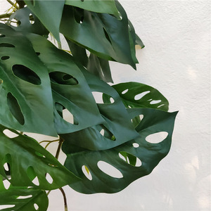 Cây Monstera Nhân Tạo Bán Sỉ 2022 Cây Leo Cây Treo Nhân Tạo Cây Xanh Trang Trí - Product Image 5