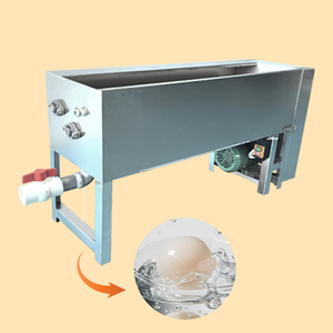 Nettoyeur d'œufs commercial en acier inoxydable avec brosse rotative pour machine à laver les œufs, machine de nettoyage des œufs pour petite ferme M02 - Product Image 1