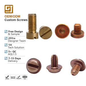 Micro Cheese Head Slotted Machine <strong>Screw</strong> Custom Metric M2 M3 M4 M5 M6 Pan Cylinder Head Washer Cap Brass <strong>Copper</strong> <strong>Screw</strong> with Hole - Product Image 1