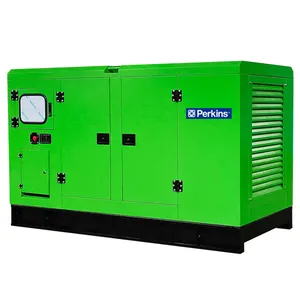 Super Silent Panda 24v Dc Electric Diesel Generator 50kw 100kva 150kw 200kva Perkins Diesel Generator Silent