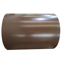 Bobine d'acier PPGI imprimée grain de bois 3D 0,45 mm DX51D, tôle d'acier galvanisé prépeinte pour décoration intérieure, garage, pliage et découpe