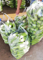 Sacs en plastique LDPE durables avec valve perforée pour l'emballage des légumes et des fruits, avec forme et taille personnalisées anti-buée