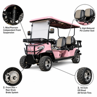 Voiturette de golf rose 4+2 places, 6 places, 4 temps, essence, suspension MacPherson, frein à disque, pneus tout-terrain, véhicule de tourisme pour complexe hôtelier