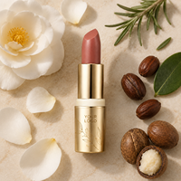 Rouge à lèvres personnalisé en marque blanche OEM ODM, maquillage pour les lèvres, rouge à lèvres mat, texture crémeuse, coffret cadeau de maquillage, couleur personnalisée, vente en gros