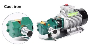 بيع مباشر من المصنع مضخة تروس مزدوجة صغيرة محمولة مضخة نقل ديزل كهربائية cb - Product Image 5