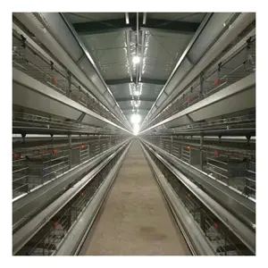 Automatic Poultry Farming Equipments H Shaped Small Stacked Layer Chicken Cage Battery Layer Cage
