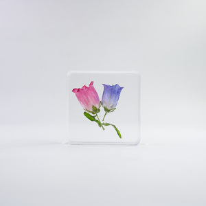 Flores secas reales naturales incrustadas de alta calidad, trébol de plantas, arte de resina colorido, artesanía, recuerdos artesanales - Product Image 4