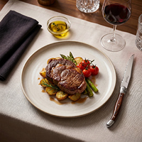 Couteau à steak Laguiole de qualité alimentaire, multifonctionnel, couteau à dîner en acier inoxydable pour restaurant