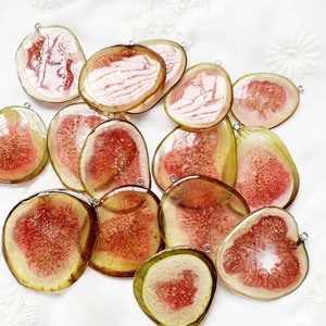 Obral perhiasan wanita botani Resin Fig buah asli desain baru 2024