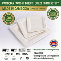 Assiettes carrées jetables écologiques sans PFAS, 6, 8 et 10 pouces, en bagasse, biodégradables, compostables, en fibres végétales, vente en gros