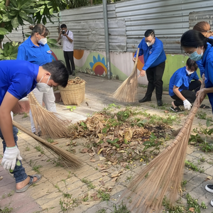 SAFIMEX 2025 Vietnam mango de escoba de coco accesorios de limpieza del hogar escoba de calle dura escoba de Coco para exteriores - Product Image 1