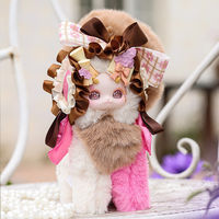 Tutulong 7ème Génération Jouet en Peluche Boîte Mystère Maomaolong Créature Fantastique Carnet de Rêves Jouets à Pousser avec 6 Pièces