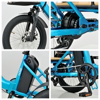 Geobyke Vélo cargo électrique à 3 roues de 20 pouces 48V 250W Nouvelle batterie au lithium LCD Moteur de moyeu arrière Frein à disque Vélo cargo électrique