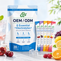 Poudre d'électrolytes essentiels en sachets, marque privée, vente en gros OEM/ODM, soutien énergétique, supplément de santé végétalien pour adultes